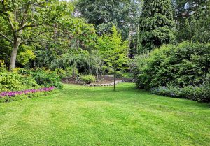Optimiser l'expérience du jardin à Saint-Auban-sur-l'Ouveze